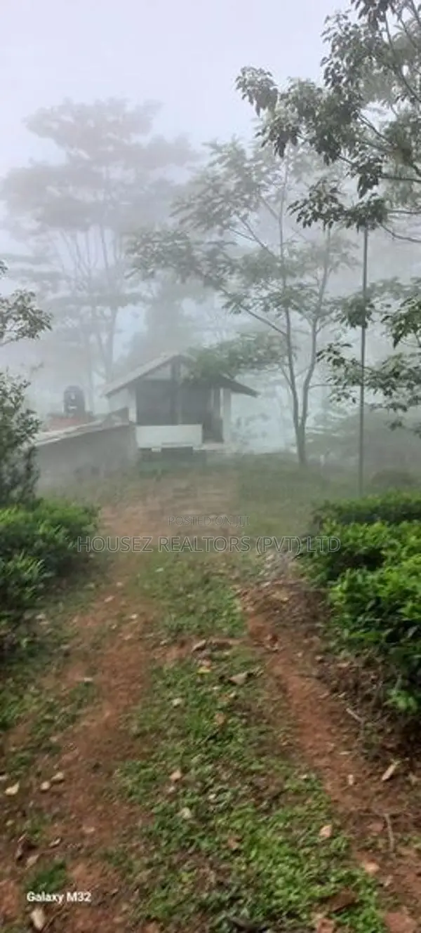 5 Acre Land for Sale Near Nawalapitiya, Nuwara Eliya