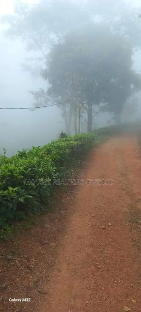 5 Acre Land for Sale Near Nawalapitiya, Nuwara Eliya