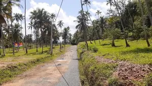 Land for Sale in Narammala