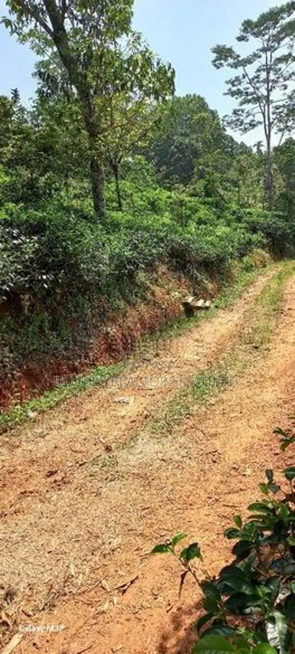 5 Acre Land for Sale Near Nawalapitiya, Nuwara Eliya
