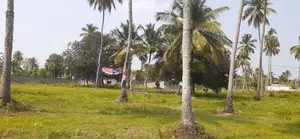 කුරුණෑගල හලාවත බස් පාරට මුහුණලා ඉඩමක්