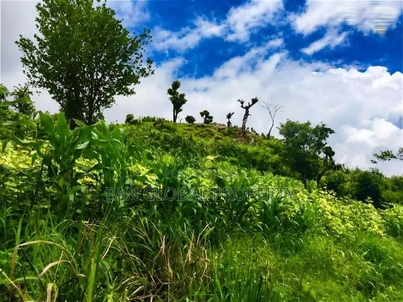 Land for Sale in Kandy
