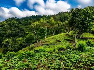 Land for Sale in Kandy