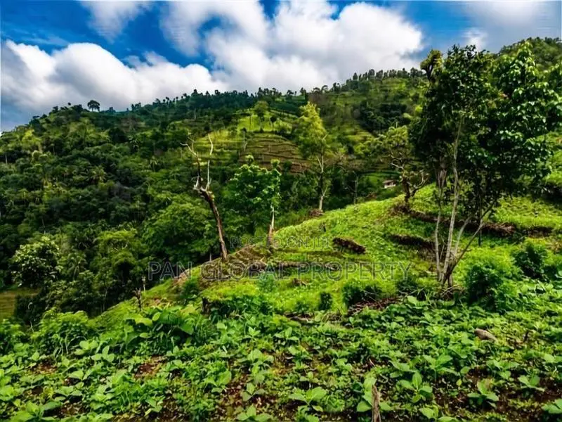 Land for Sale in Kandy
