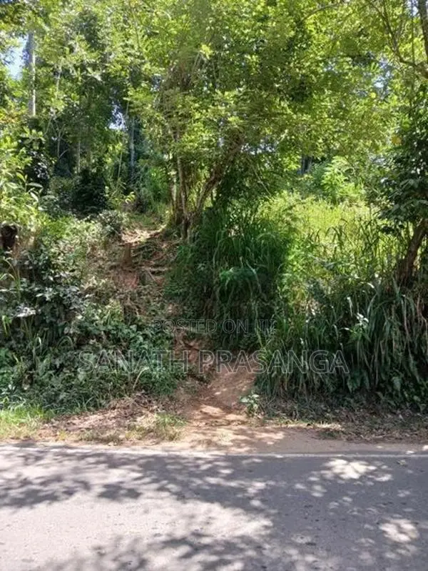 Land for sale,Damanwara