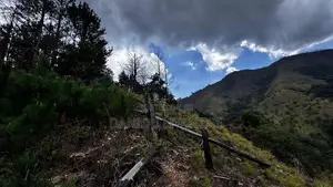 100 Acres Land for Sale in Lunugala