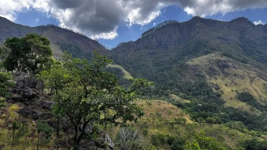 100 Acres Land for Sale in Lunugala