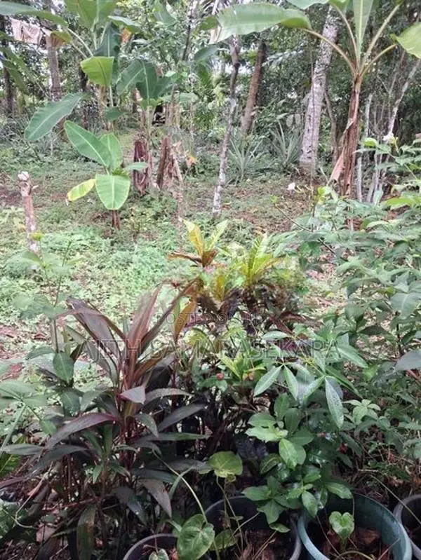 7.5 P Land Close to Highleval at Godagama