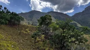 100 Acres Land for Sale in Lunugala