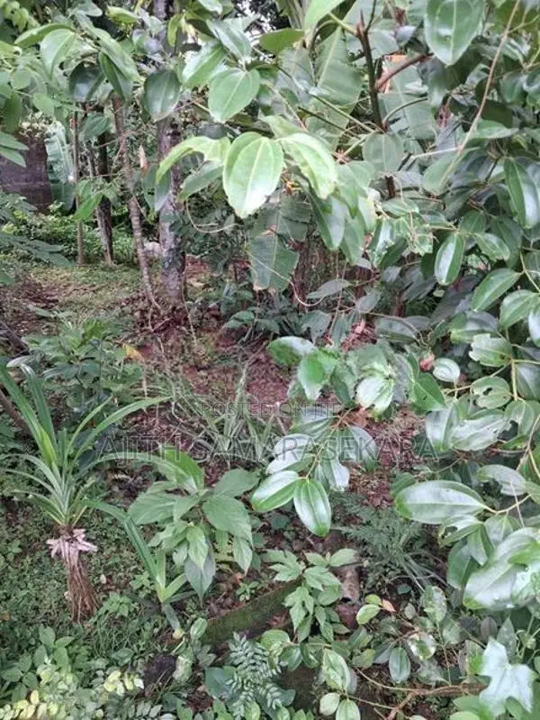 7.5 P Land Close to Highleval at Godagama
