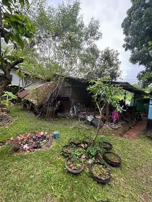 ගාල්ල - උඩුගම ප්‍රධාන පාරට මුහුණලා ඉඩමක් විකිණීමට ඇත