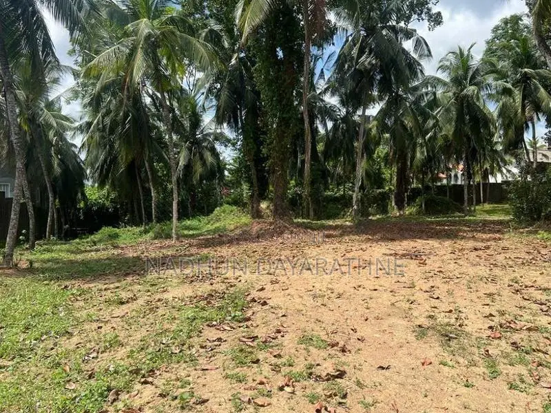 140 Perch Land for Lease in Malabe