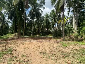 140 Perch Land for Lease in Malabe