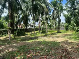 140 Perch Land for Lease in Malabe