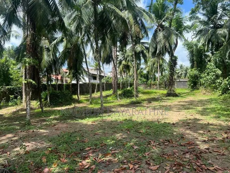 140 Perch Land for Lease in Malabe