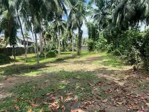 140 Perch Land for Lease in Malabe