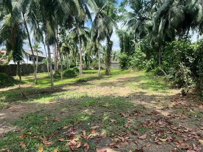 140 Perch Land for Lease in Malabe