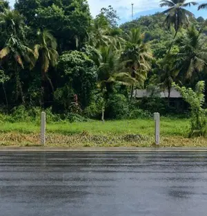 Wewaldeniya,Land facing Colombo Rd|වේවැල්දෙණිය, කොළඹ මාර්ගයට මුහුණලා ඉ