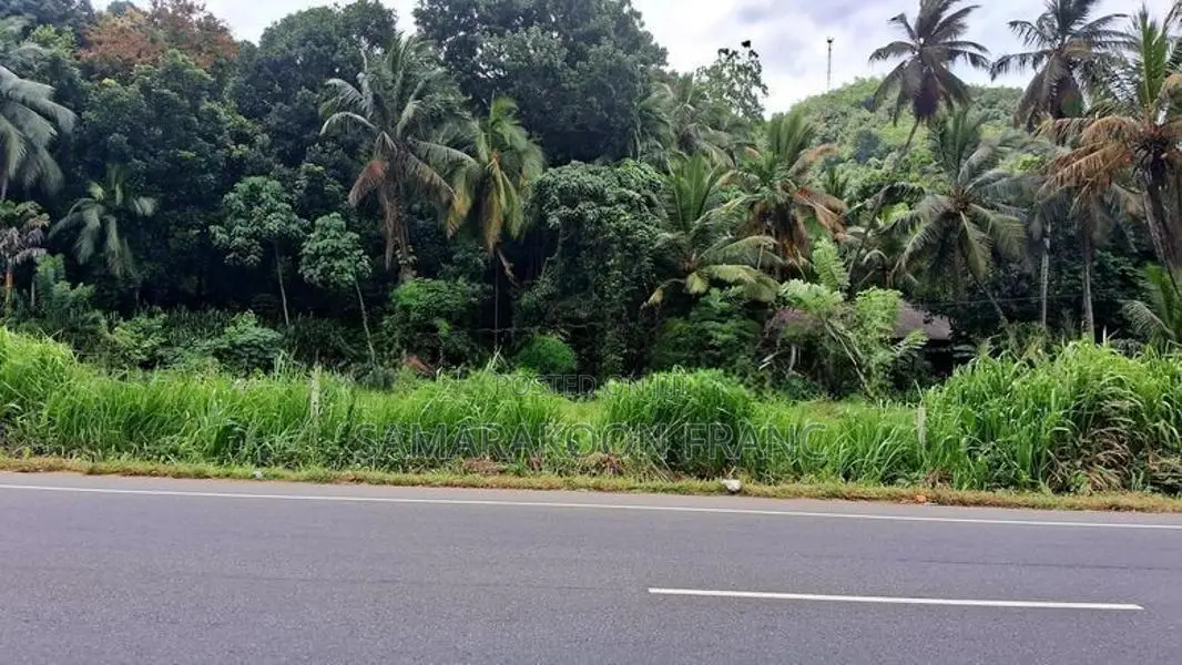 Wewaldeniya,Land facing Colombo Rd|වේවැල්දෙණිය, කොළඹ මාර්ගයට මුහුණලා ඉ