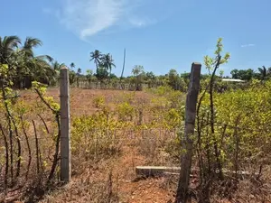 Land for Sale Jaffna
