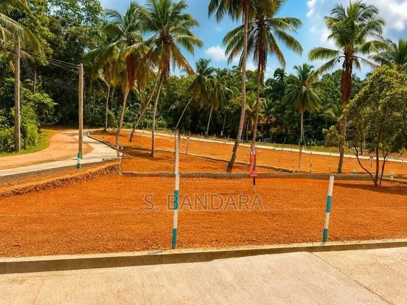 Land for Sale in Wathupitiwela,Walgammulla M06