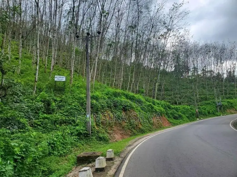35 Acre Main-Road Frontage Rubber Estate for Sale in Yatiyantota