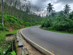 35 Acre Main-Road Frontage Rubber Estate for Sale in Yatiyantota