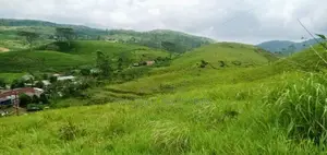 Land for sale in Hatton
