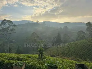 Houses For Sale In Rozella