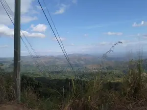 Land for Sale - Haldummulla
