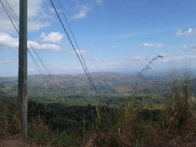Land for Sale - Haldummulla