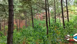 Land for Sale in Kithal Ella
