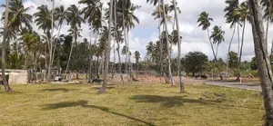 Land for Sale in Kurunegala City