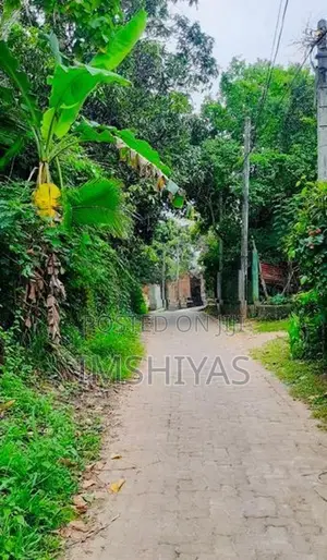 Prime Land In Thorayaya