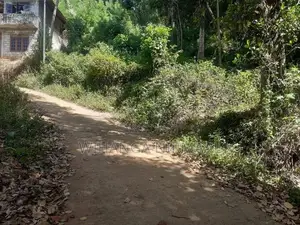 Land for Sale Haputale