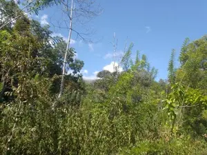 Land for Sale - Haldummulla