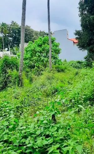 Prime Land In Thorayaya