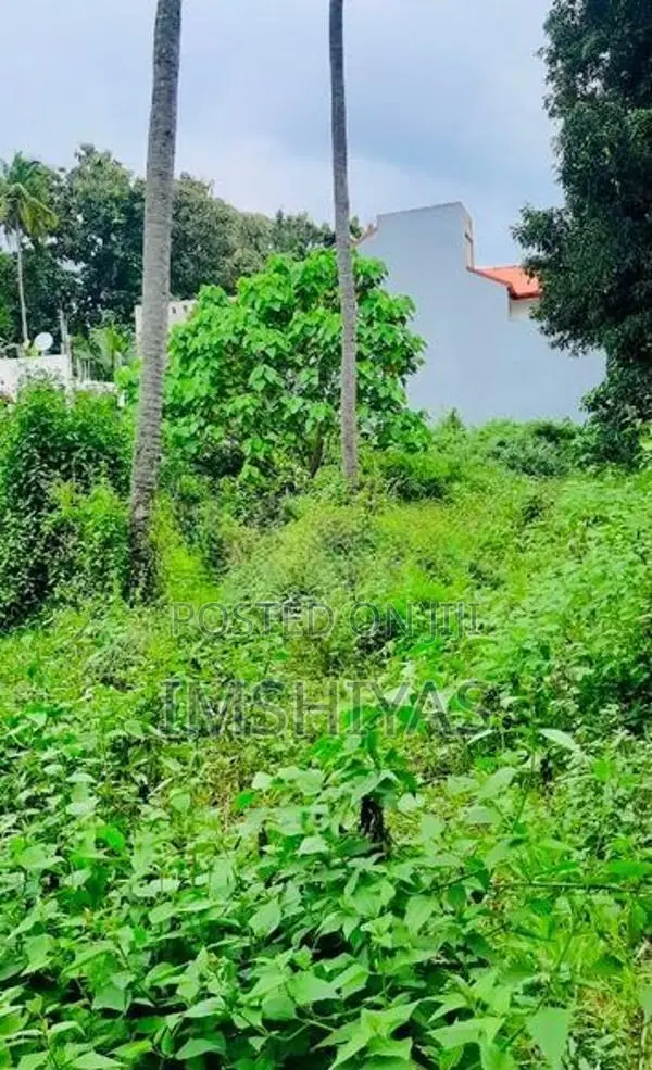 Prime Land In Thorayaya