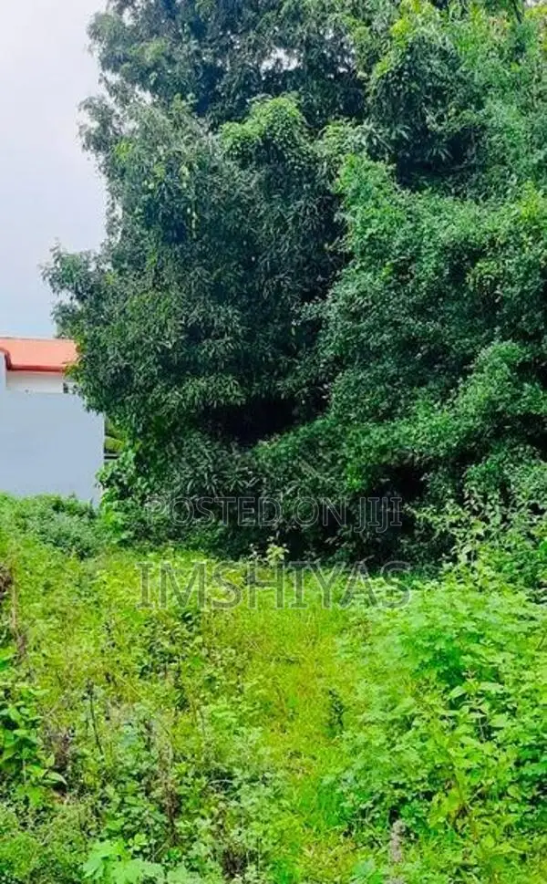 Prime Land In Thorayaya