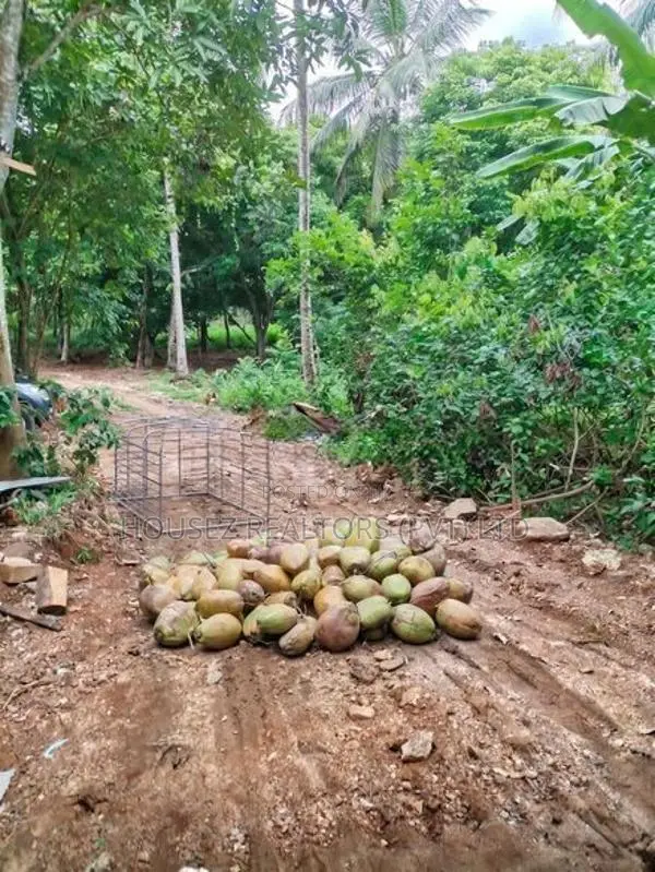 7-Acre Coconut Paddy Estate for Lease – Nittabuwa