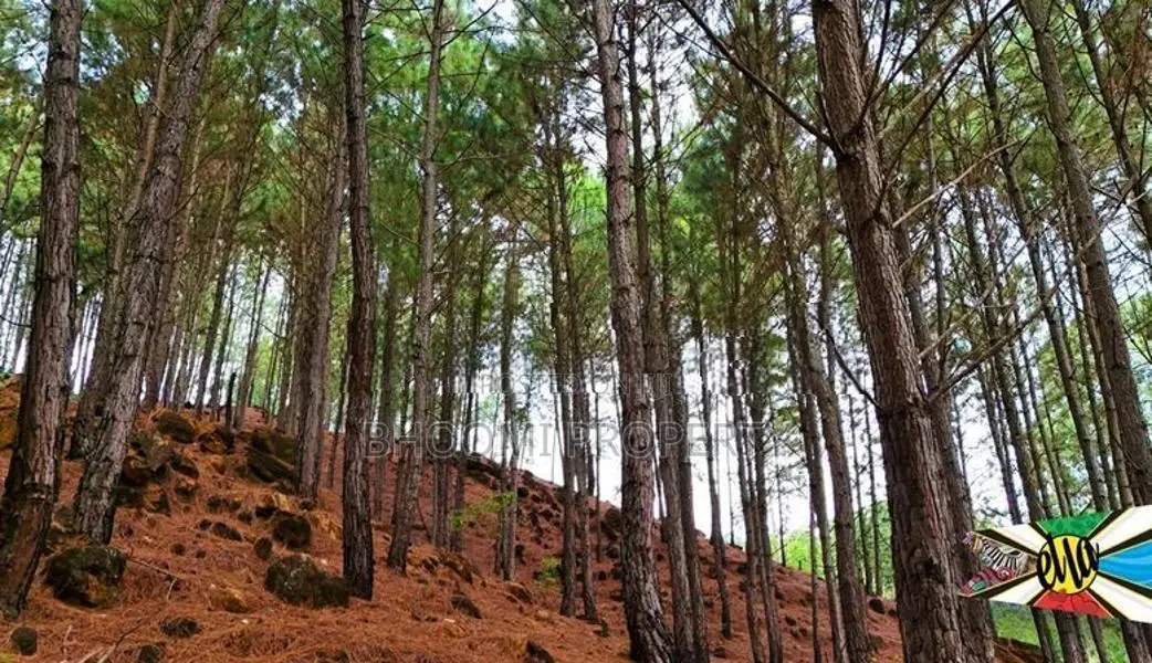 Land for Sale in Kithal Ella