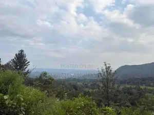 Land for Sale Haputale