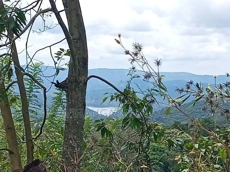 Land for Sale Haputale