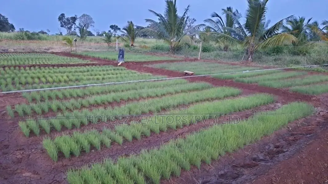 20-Acre Agricultural Land for Sale – Vilachchiya, Anuradhapura