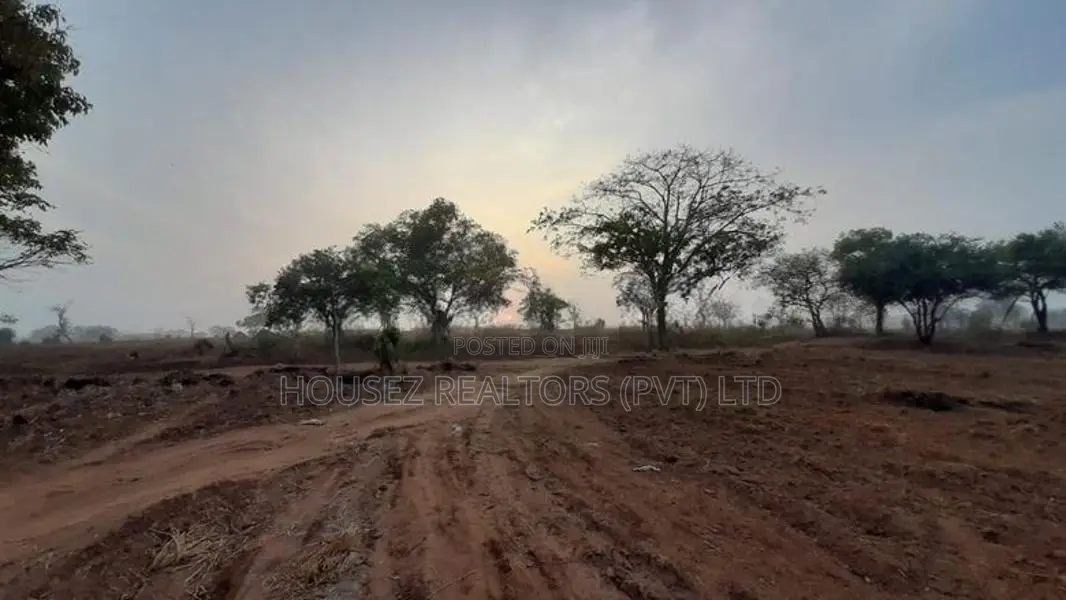 20-Acre Agricultural Land for Sale – Vilachchiya, Anuradhapura