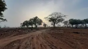 20-Acre Agricultural Land for Sale – Vilachchiya, Anuradhapura