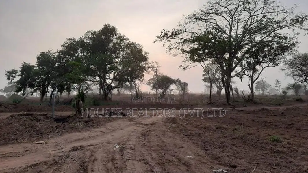 20-Acre Agricultural Land for Sale – Vilachchiya, Anuradhapura