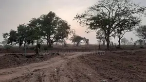 20-Acre Agricultural Land for Sale – Vilachchiya, Anuradhapura