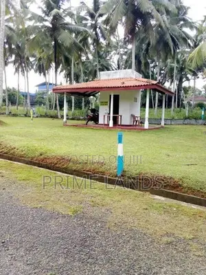 සියලු පහසුකම් සමගින් පදිංචියටත් වටිනා ඉඩම් හොරන නගරයෙන්ම
