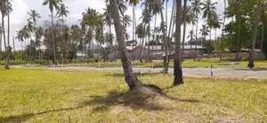 පාරට ඇවිදින දුරින් පදිංචියට ඉඩමක් විකිණීමට කුරුණෑගල